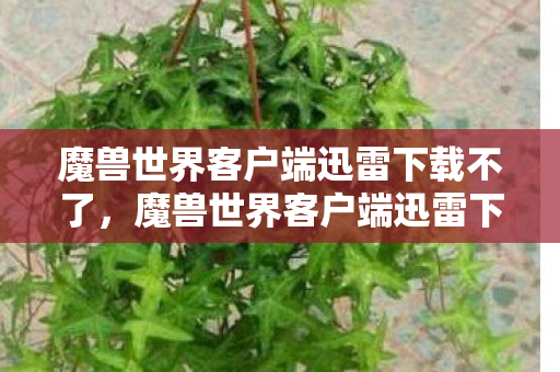 魔兽世界客户端迅雷下载不了，魔兽世界客户端迅雷下载，便捷与安全的双重保障