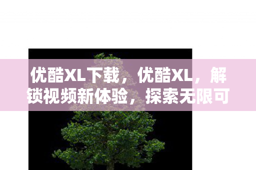优酷XL下载，优酷XL，解锁视频新体验，探索无限可能