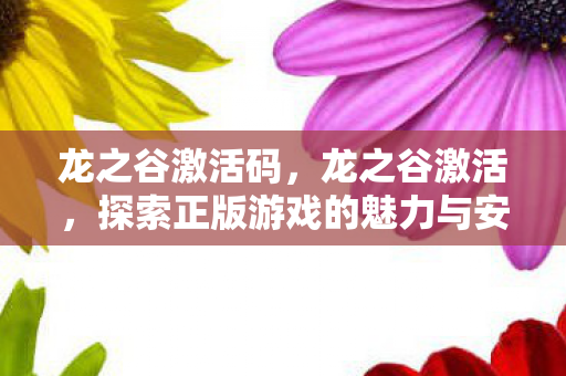 龙之谷激活码，龙之谷激活，探索正版游戏的魅力与安全性
