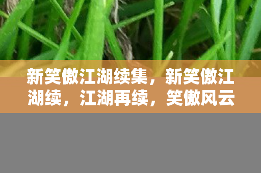 新笑傲江湖续集，新笑傲江湖续，江湖再续，笑傲风云再起