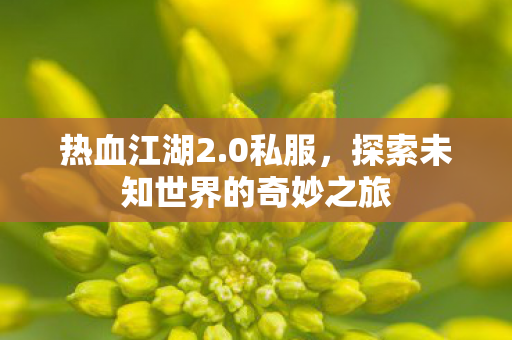 热血江湖2.0私服，探索未知世界的奇妙之旅