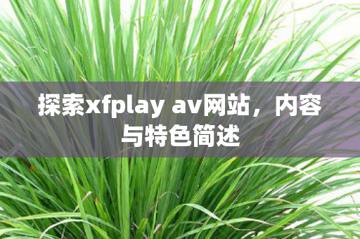 探索xfplay av网站，内容与特色简述