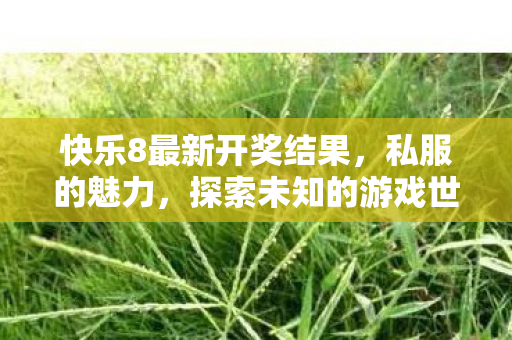 快乐8最新开奖结果，私服的魅力，探索未知的游戏世界
