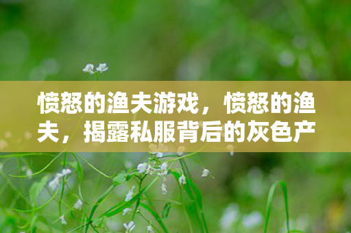 愤怒的渔夫游戏，愤怒的渔夫，揭露私服背后的灰色产业链