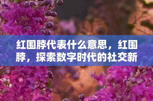 红围脖代表什么意思，红围脖，探索数字时代的社交新风尚