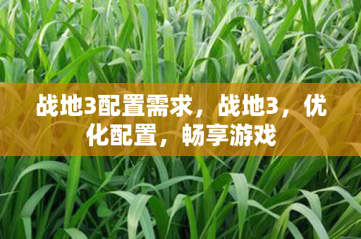 战地3配置需求，战地3，优化配置，畅享游戏