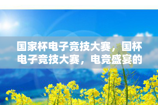 国家杯电子竞技大赛，国杯电子竞技大赛，电竞盛宴的崛起与挑战