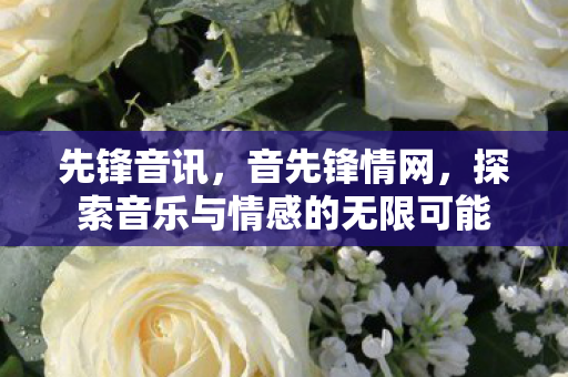 先锋音讯，音先锋情网，探索音乐与情感的无限可能