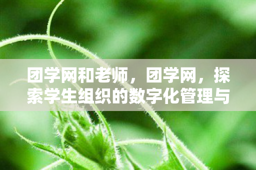 团学网和老师，团学网，探索学生组织的数字化管理与创新