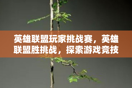 英雄联盟玩家挑战赛，英雄联盟胜挑战，探索游戏竞技的无限可能