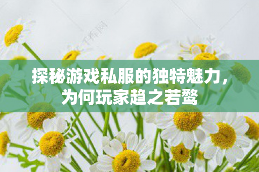 探秘游戏私服的独特魅力，为何玩家趋之若鹜