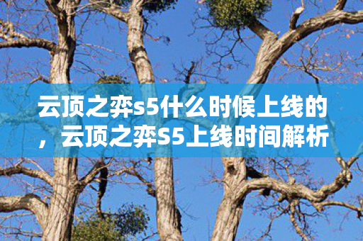 云顶之弈s5什么时候上线的，云顶之弈S5上线时间解析