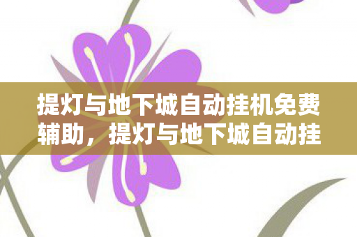 提灯与地下城自动挂机免费辅助，提灯与地下城自动挂机，提升游戏效率与乐趣的利器
