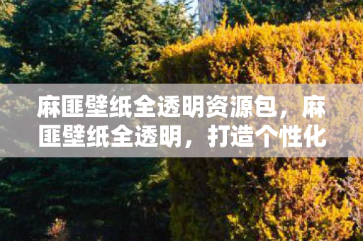 麻匪壁纸全透明资源包，麻匪壁纸全透明，打造个性化视觉盛宴