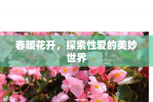 春暖花开，探索性爱的美妙世界