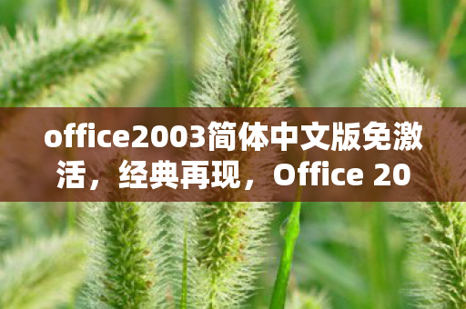 office2003简体中文版免激活，经典再现，Office 2003 简体中文完整版的使用心得