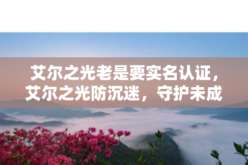 艾尔之光老是要实名认证，艾尔之光防沉迷，守护未成年人的健康游戏环境
