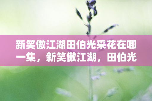 新笑傲江湖田伯光采花在哪一集，新笑傲江湖，田伯光的江湖情仇与人性探索