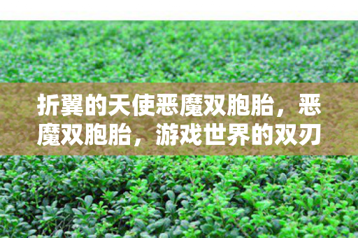 折翼的天使恶魔双胞胎，恶魔双胞胎，游戏世界的双刃剑