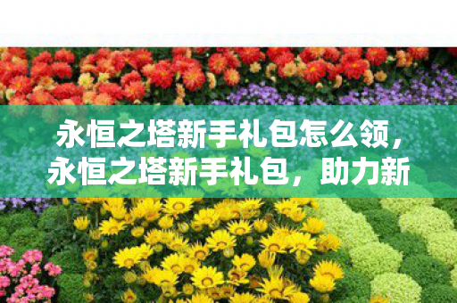 永恒之塔新手礼包怎么领，永恒之塔新手礼包，助力新手快速成长