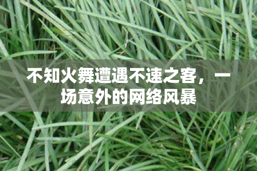 不知火舞遭遇不速之客，一场意外的网络风暴