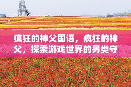 疯狂的神父国语，疯狂的神父，探索游戏世界的另类守护者