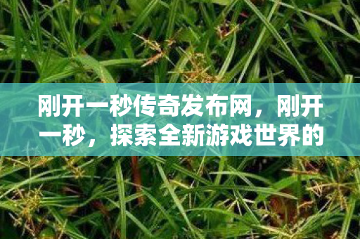刚开一秒传奇发布网，刚开一秒，探索全新游戏世界的无限可能