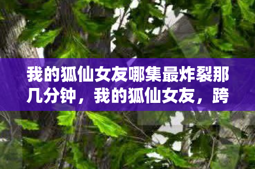我的狐仙女友哪集最炸裂那几分钟，我的狐仙女友，跨越次元的浪漫邂逅