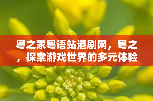 粤之家粤语站港剧网，粤之，探索游戏世界的多元体验