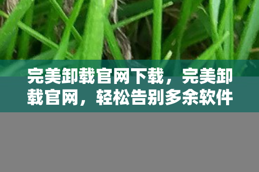 完美卸载官网下载，完美卸载官网，轻松告别多余软件，守护电脑健康