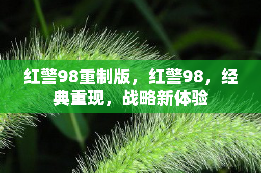 红警98重制版，红警98，经典重现，战略新体验