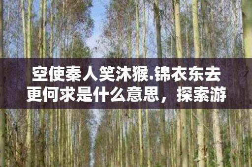 空使秦人笑沐猴.锦衣东去更何求是什么意思，探索游戏世界的多元体验，私服与官方服务器的独特魅力