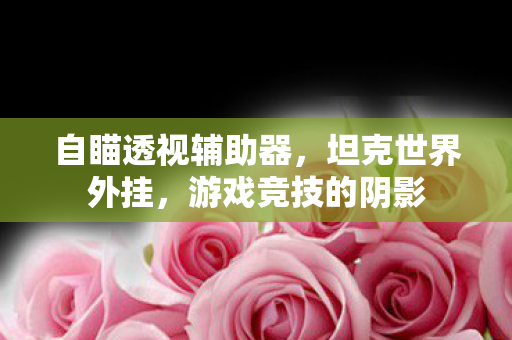 自瞄透视辅助器，坦克世界外挂，游戏竞技的阴影