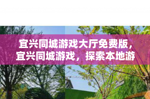 宜兴同城游戏大厅免费版，宜兴同城游戏，探索本地游戏文化的魅力