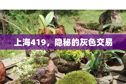 上海419，隐秘的灰色交易