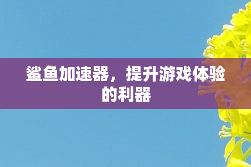 鲨鱼加速器，提升游戏体验的利器