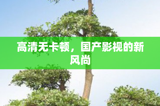 高清无卡顿，国产影视的新风尚