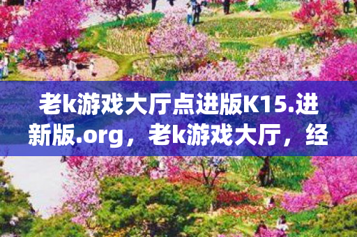 老k游戏大厅点进版K15.进新版.org，老k游戏大厅，经典游戏的回忆与传承