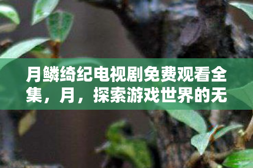 月鳞绮纪电视剧免费观看全集，月，探索游戏世界的无限可能