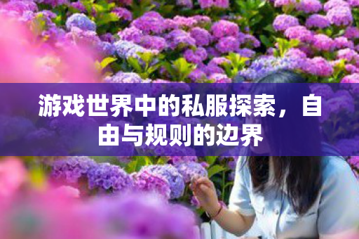 游戏世界中的私服探索，自由与规则的边界