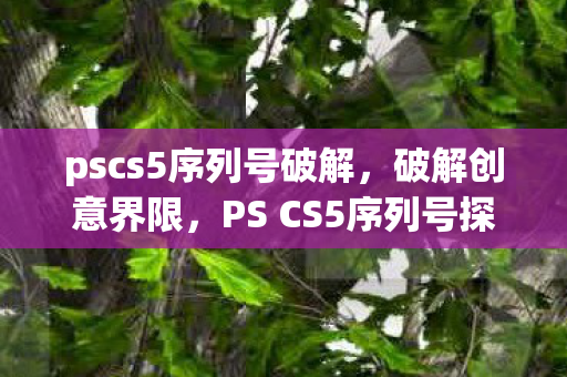 pscs5序列号破解，破解创意界限，PS CS5序列号探索之旅