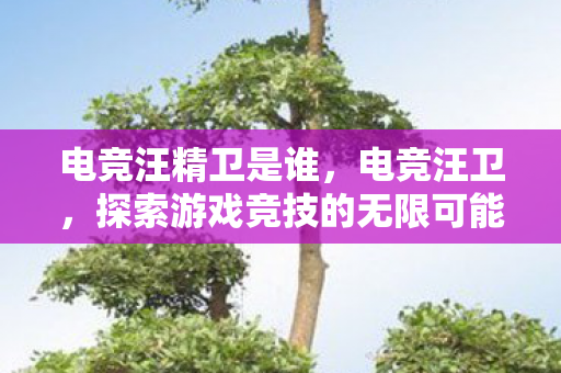 电竞汪精卫是谁，电竞汪卫，探索游戏竞技的无限可能