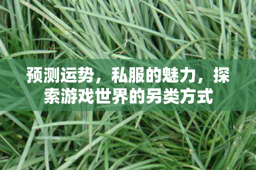 预测运势，私服的魅力，探索游戏世界的另类方式