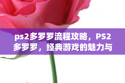 ps2多罗罗流程攻略，PS2多罗罗，经典游戏的魅力与回忆