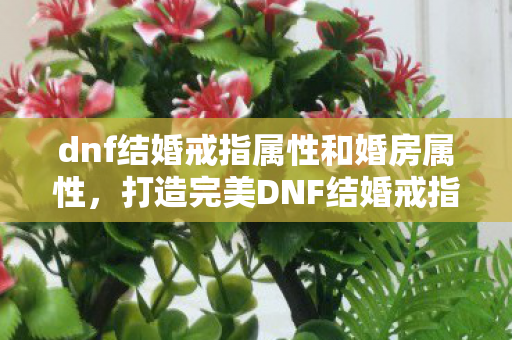 dnf结婚戒指属性和婚房属性，打造完美DNF结婚戒指，属性选择与搭配指南