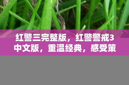 红警三完整版，红警警戒3中文版，重温经典，感受策略游戏的魅力