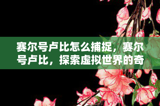 赛尔号卢比怎么捕捉，赛尔号卢比，探索虚拟世界的奇妙之旅