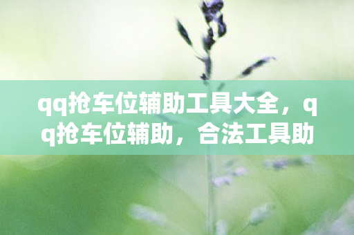 qq抢车位辅助工具大全，qq抢车位辅助，合法工具助你轻松抢车位