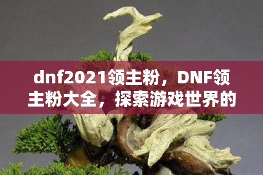 dnf2021领主粉，DNF领主粉大全，探索游戏世界的独特魅力