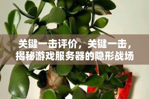 关键一击评价，关键一击，揭秘游戏服务器的隐形战场